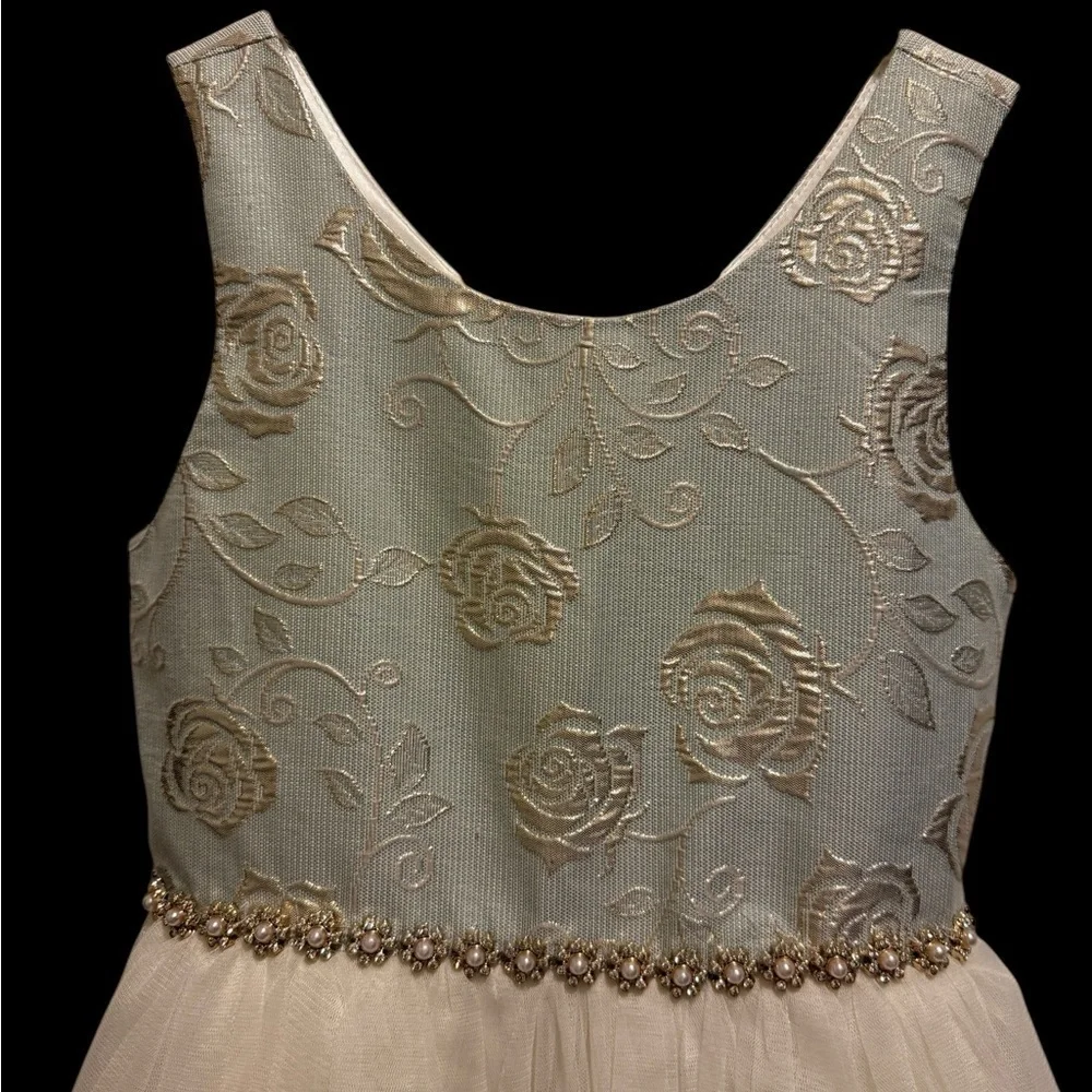 American princess Elegant Layered Dress with Floral Embroidery for girl size 10